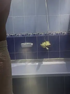 Snapshot of Arabien_Pharaoh- chatting on 03.20.25 Arabien Pharaoh- online show from 03.20.25