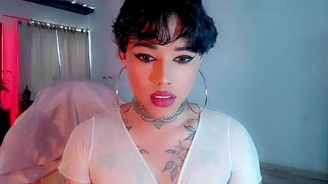 little star porn online show from 02.20.25