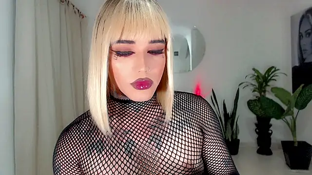 little star porn online show from 10.18.25