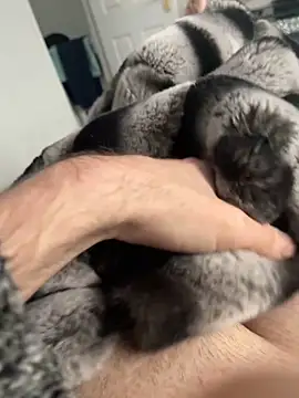 Furdale online show from 12.02.24