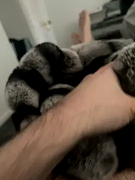 Furdale online show from 12.03.24