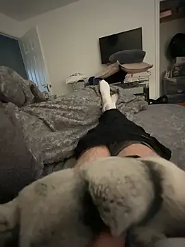 Furdale online show from 12.15.24