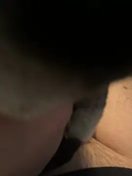 Furdale online show from 12.16.24