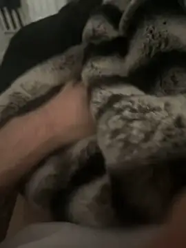 Furdale online show from 12.17.24