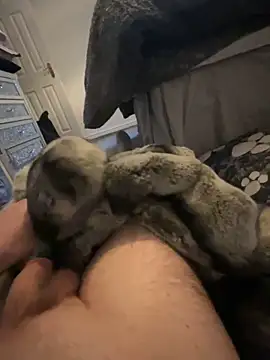 Furdale online show from 01.01.25