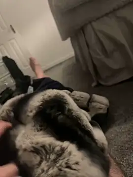 Furdale online show from 01.06.25