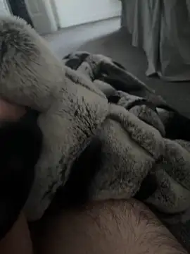 Furdale online show from 01.07.25