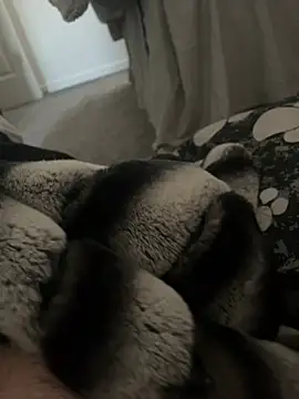 Furdale online show from 01.09.25