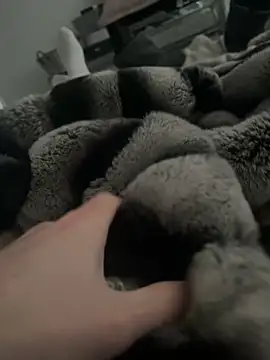 Furdale online show from 01.09.25