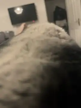 Furdale online show from 01.13.25