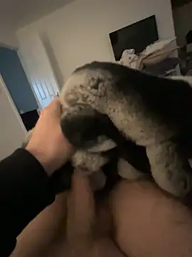 Furdale online show from 01.24.25