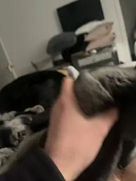 Furdale online show from 02.16.25