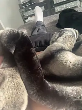 Furdale online show from 02.22.25