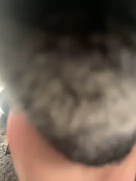 Furdale online show from 02.22.25