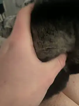 Furdale online show from 02.24.25