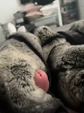 Furdale online show from 02.26.25