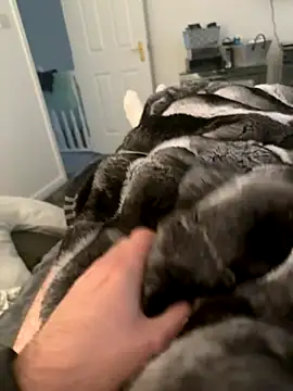 Furdale online show from 09.10.25