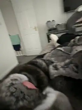 Furdale online show from 09.22.25