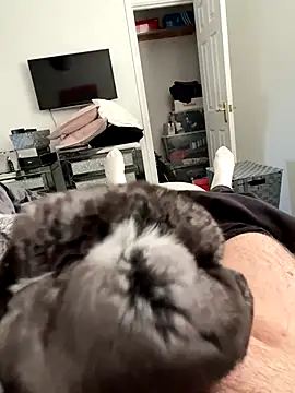 Furdale online show from 09.25.25