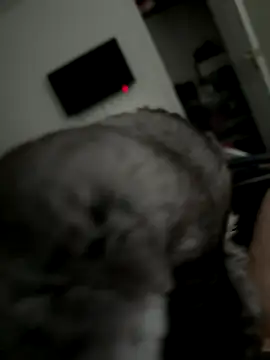 Furdale online show from 10.02.25