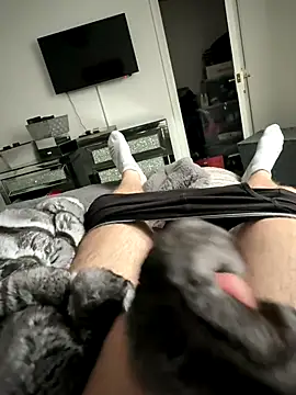 Furdale online show from 10.13.25