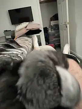 Furdale online show from 10.17.25