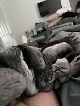 Furdale online show from 10.30.25