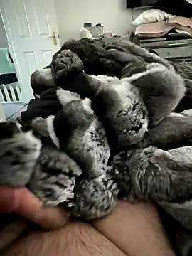 Furdale online show from 11.15.25