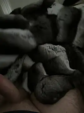 Furdale online show from 01.14.26