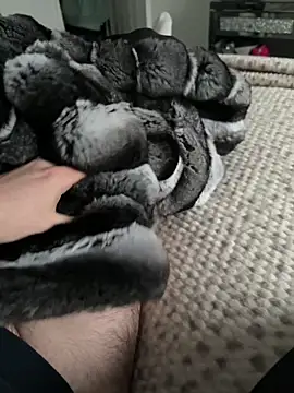 Furdale online show from 02.09.26