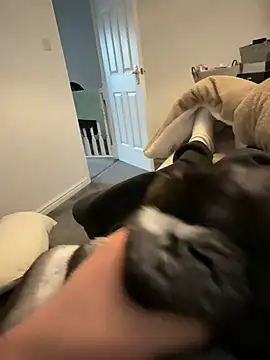 Furdale online show from 03.12.26