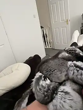 Furdale online show from 03.18.26