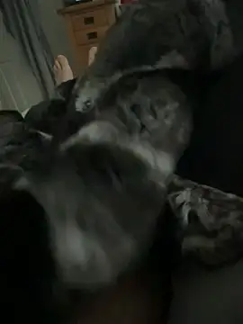 Furdale online show from 04.01.26