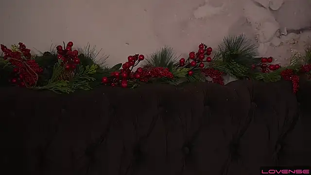 Snapshot of Daphne_Moss chatting on 12.20.24 Daphne Moss online show from 12.20.24