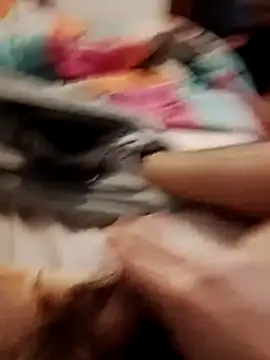 jon763 online show from 02.19.26