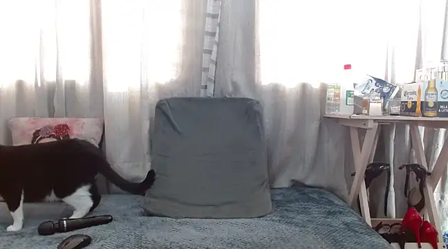 Boonny Boo01 online show from 02.01.25