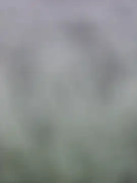 Snapshot of fuckineverett chatting on 03.15.25 fuckineverett online show from 03.15.25