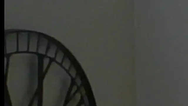 scorviergexh online show from 12.28.24