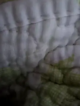 sutgibihatun online show from 10.31.25