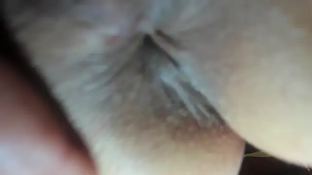 Snapshot of FrumCake chatting on 12.21.24 FrumCake online show from 12.21.24