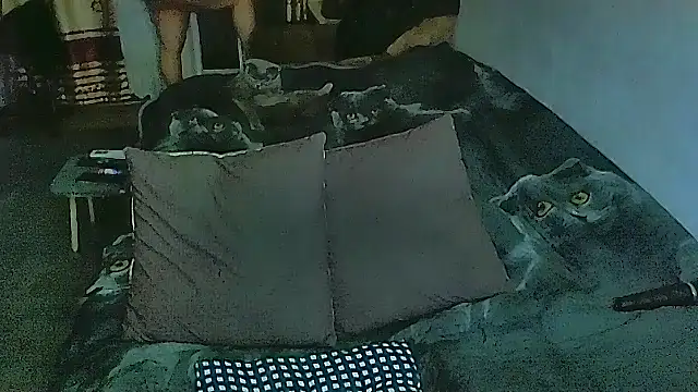 Snapshot of sex2 chatting on 02.28.26 sex2 online show from 02.28.26