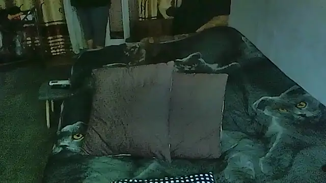 sex2 online show from 03.30.26