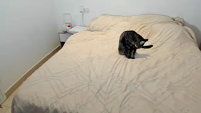 MariaMeir online show from 01.10.26