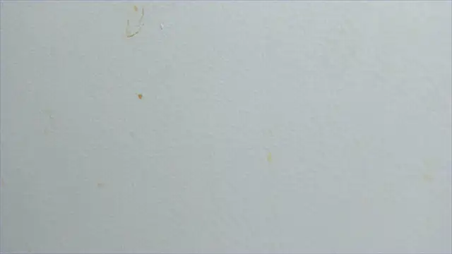 lisa2018 online show from 02.21.25