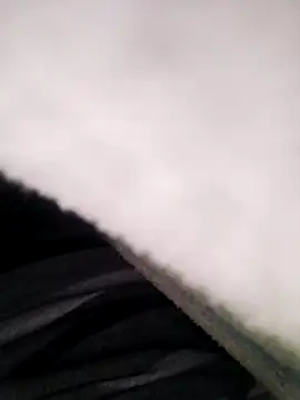 Pitercom online show from 11.10.25