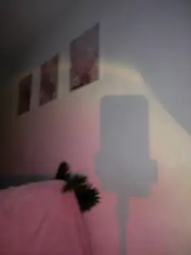 DulceLenns online show from 01.11.26