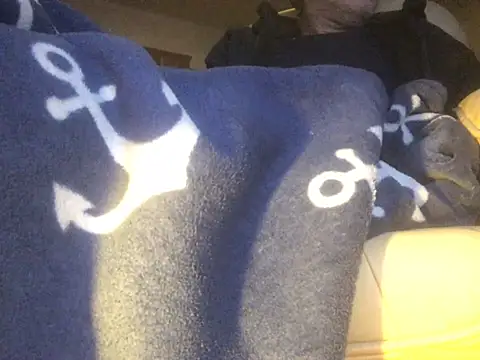 translove online show from 02.14.25