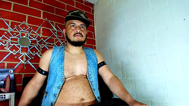 the master foal  online show from 11.17.25