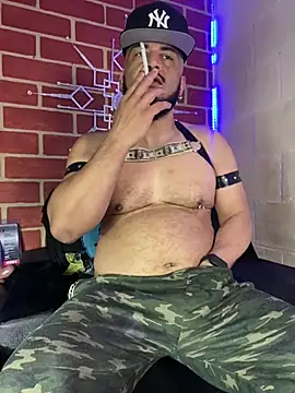 the master foal  online show from 02.19.26