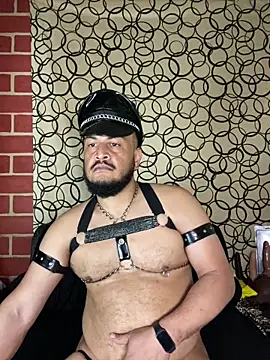 the master foal  online show from 03.10.26